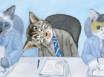 がるちゃん猫カフェ63号店 開店しました♪（初めての方も大歓迎!!）