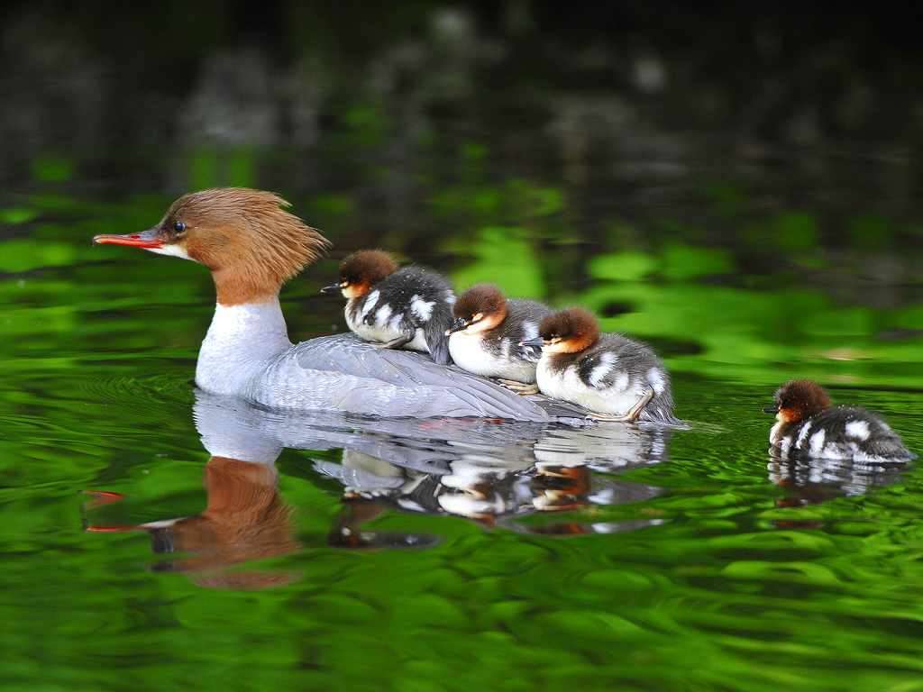 癒されたいから絶景画像