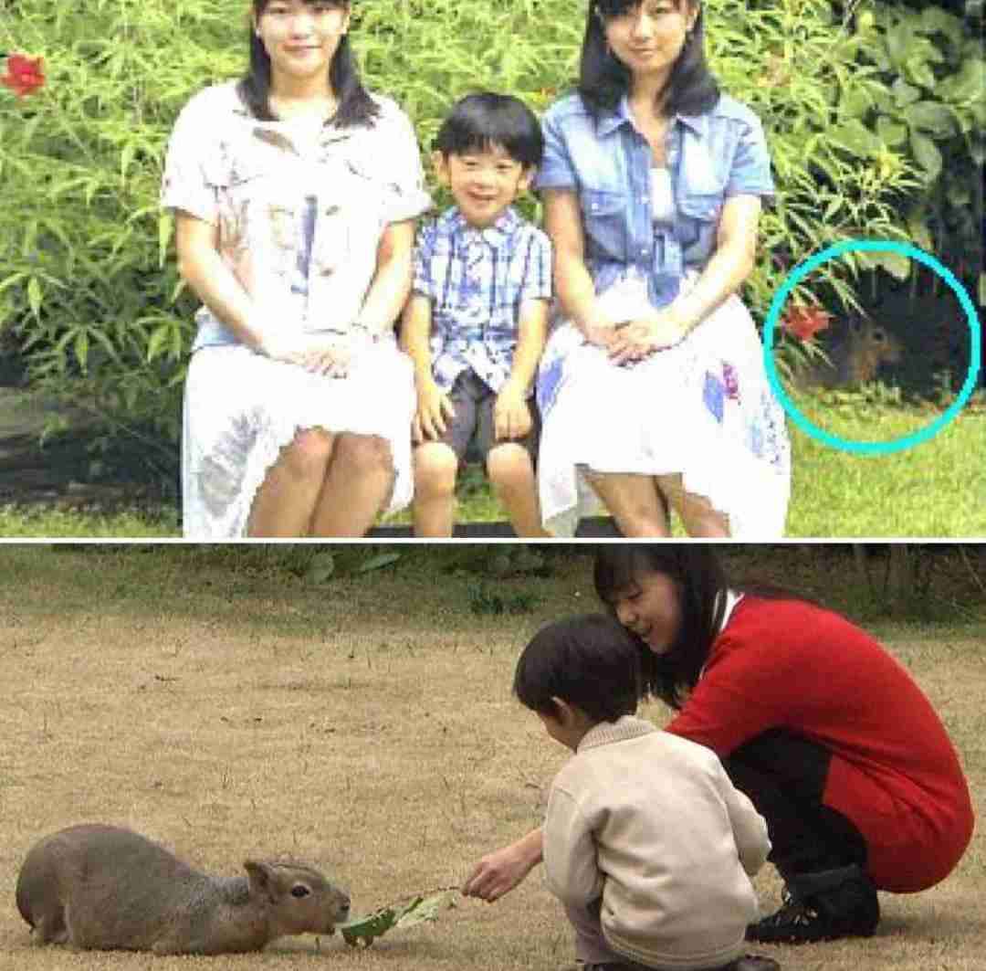 独占告白！「小室圭文書」に元婚約者が反論「私は納得できません」