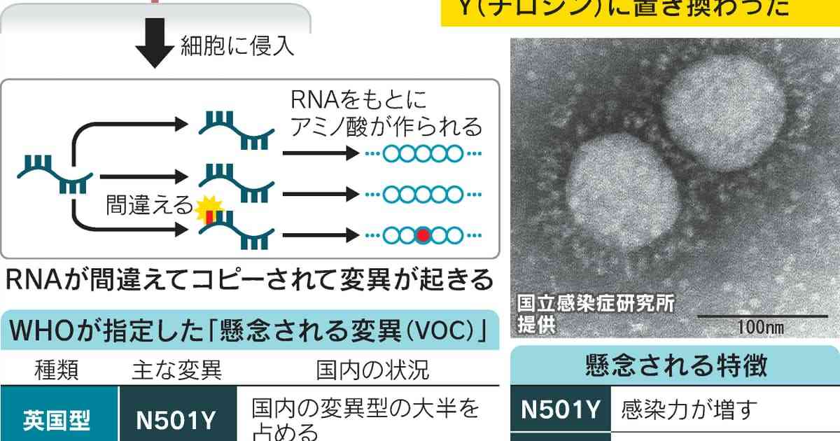 新型コロナ: コロナ、変異型発生のメカニズム　高まる脅威: 日本経済新聞