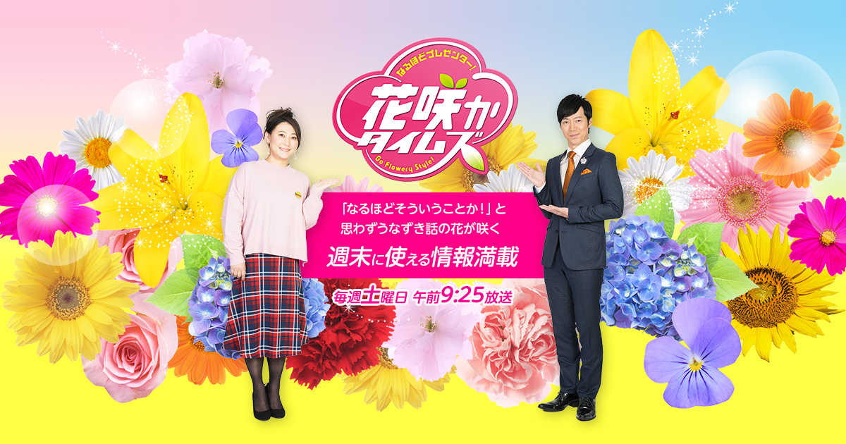 hicbc.com : 花咲かタイムズ