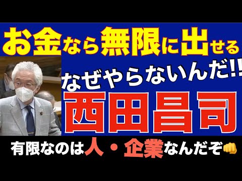 【給付金は出せる】理由：日本はお金を無限に作れるから。逆に有限なものは『資源』今！人・暮らし・企業を助けないでどうするんだ!! by 西田昌司 - YouTube