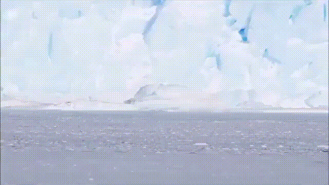 ずっと見ていられるGIF画像ください!part2