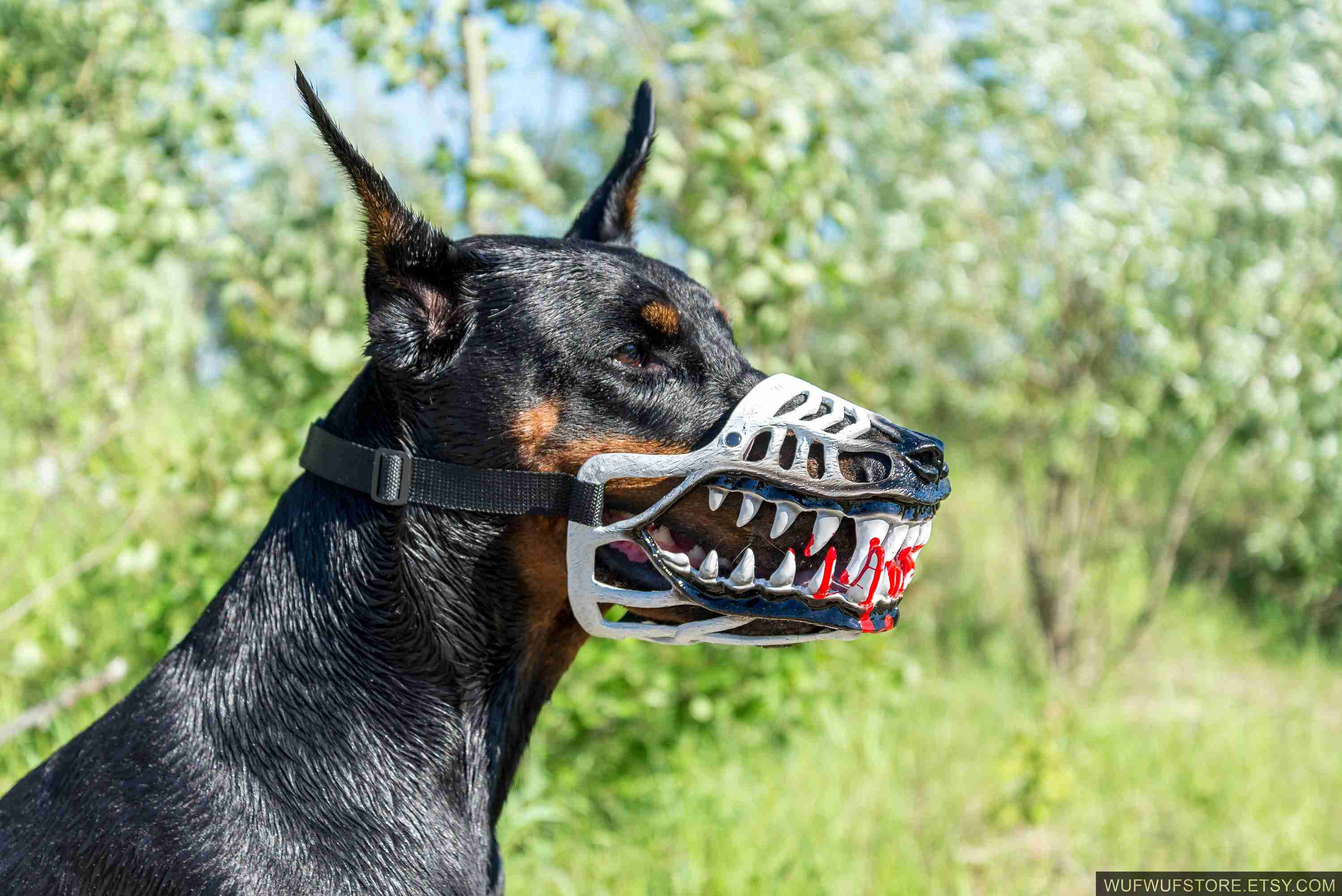 愛犬家を狙う新手の詐欺「噛まれ屋」 弁護士は「損害賠償は生じない」と分析