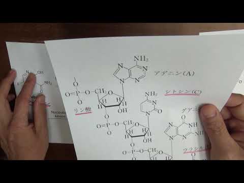 ファイザーうつなら避妊するべきだと思う - YouTube