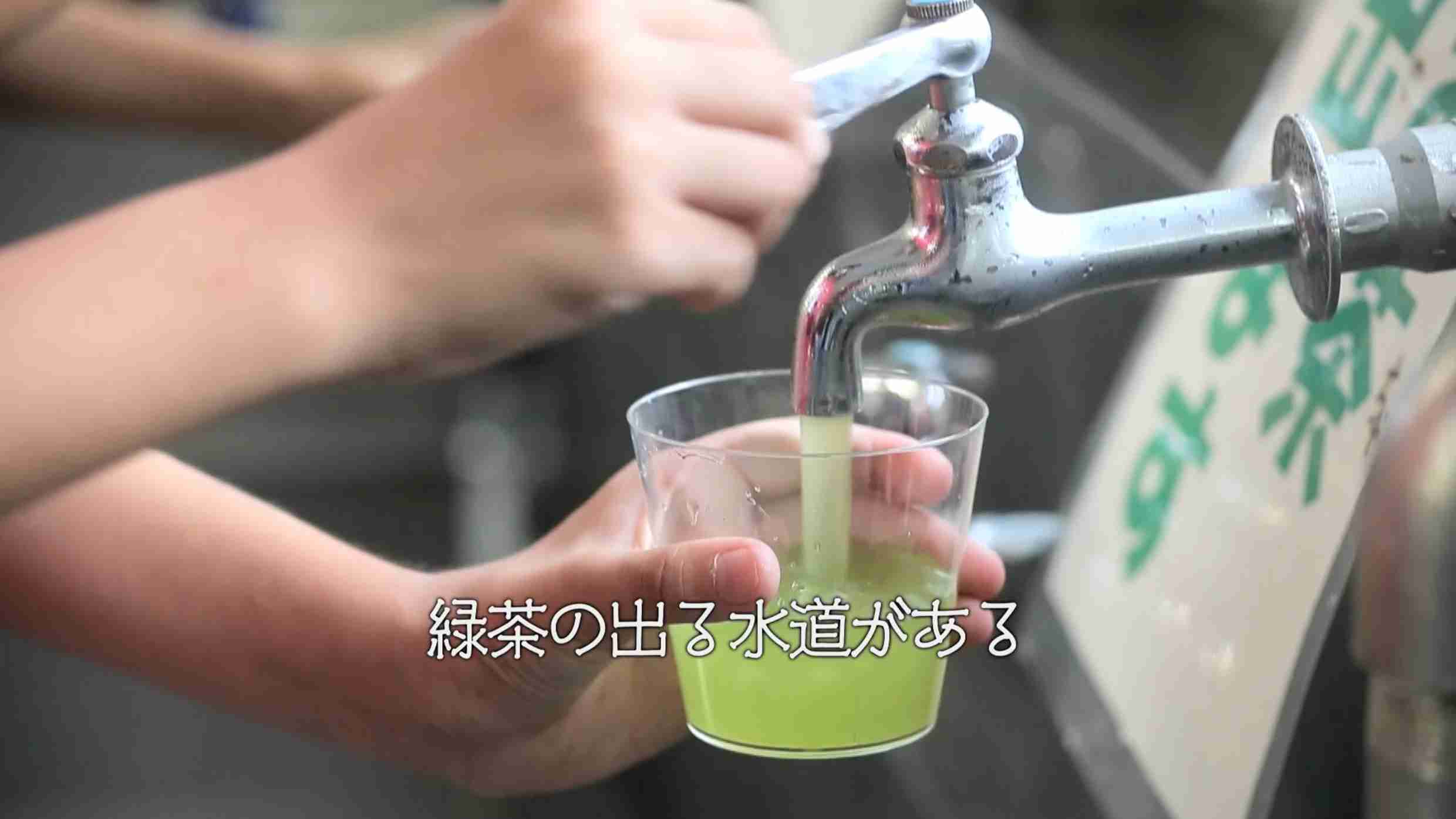 これはもはや「多～いお茶」　インバウンド向け自販機の「日本茶」アピールが強烈すぎる