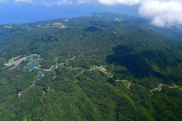 沖縄・奄美の世界自然遺産登録を勧告　ユネスコ、7月に正式決定へ | 沖縄タイムス＋プラス　ニュース | 沖縄タイムス＋プラス