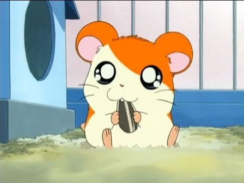 【成功】最近のお菓子【失敗】