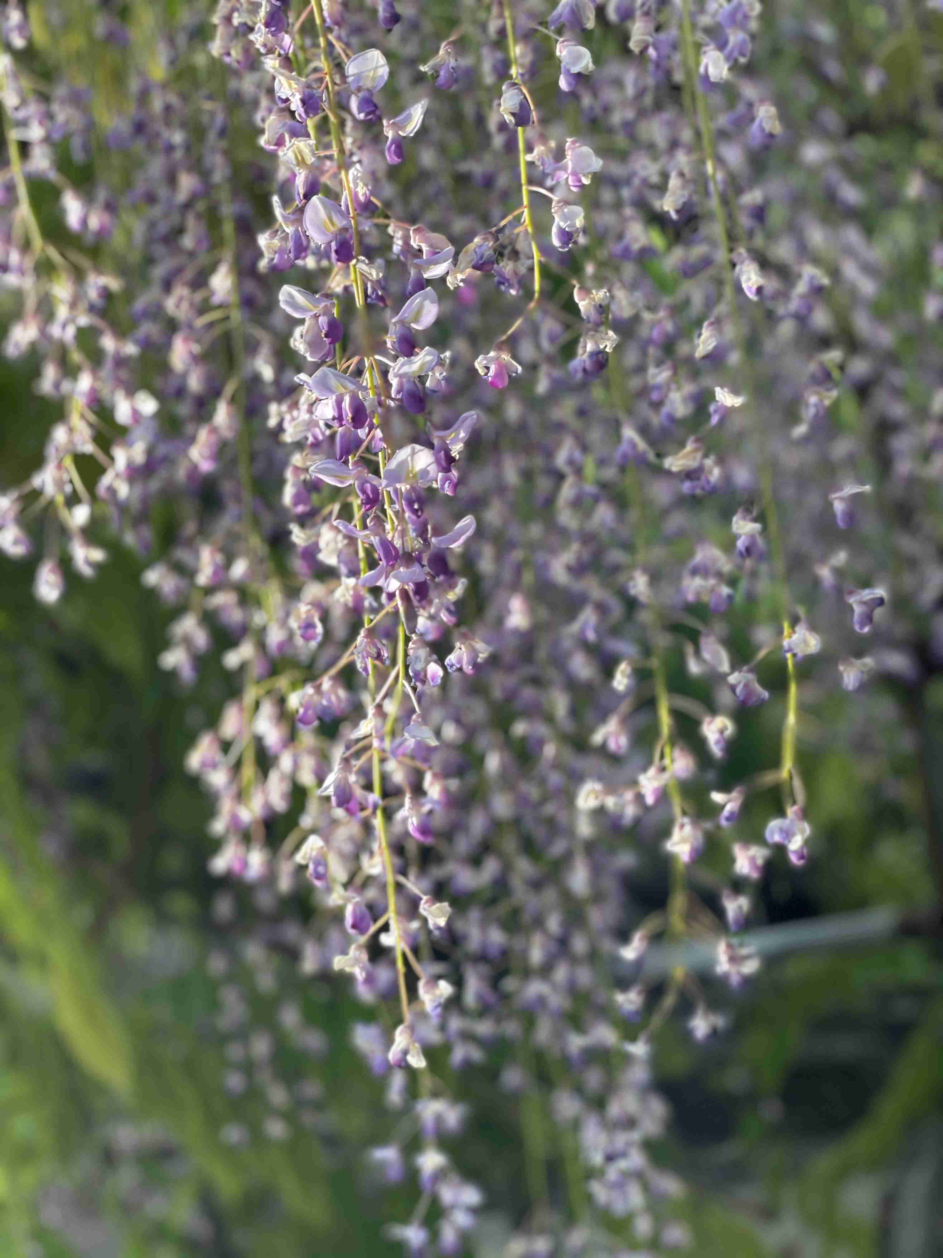 あなたが撮ったベストショット