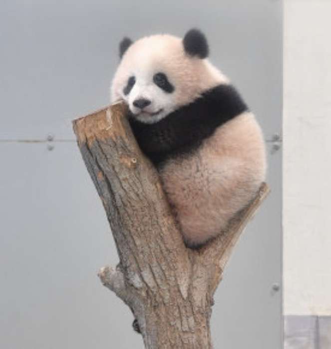 最近癒されたこと