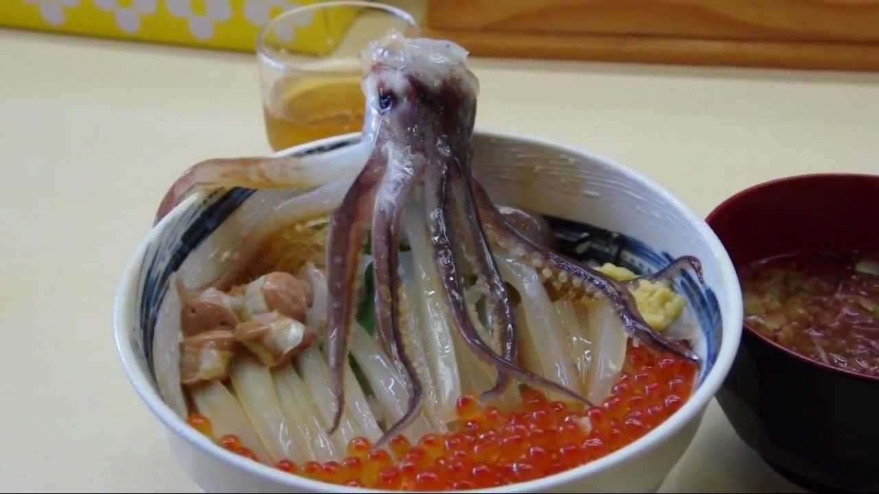 2012　函館朝市　活イカの踊り丼 - YouTube
