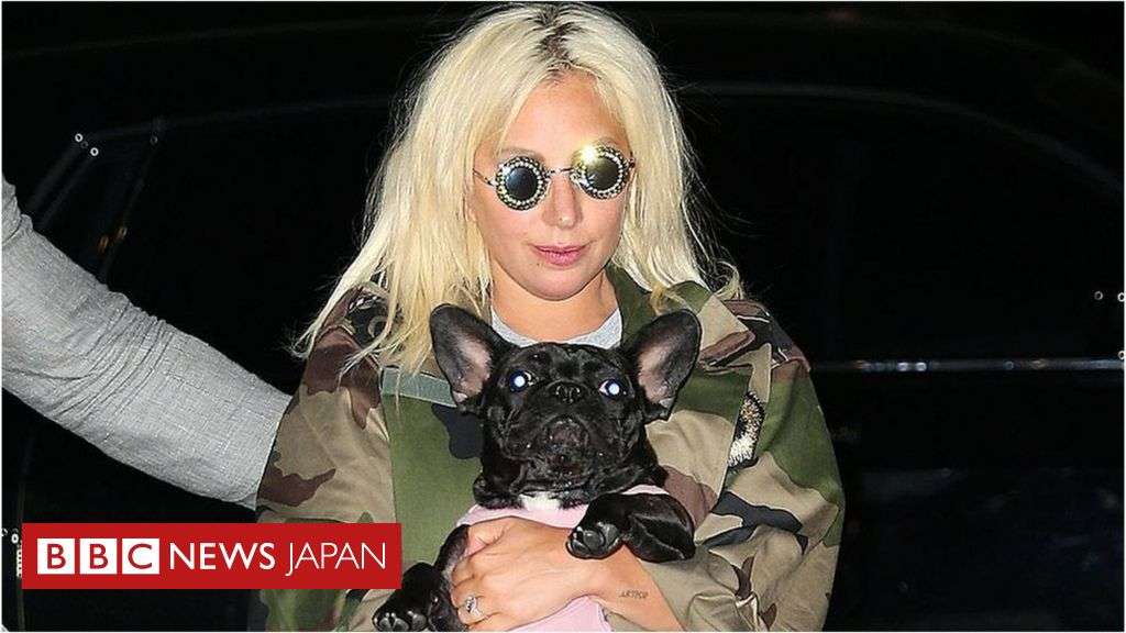 レディー・ガガさんの愛犬誘拐事件で5人逮捕 - BBCニュース