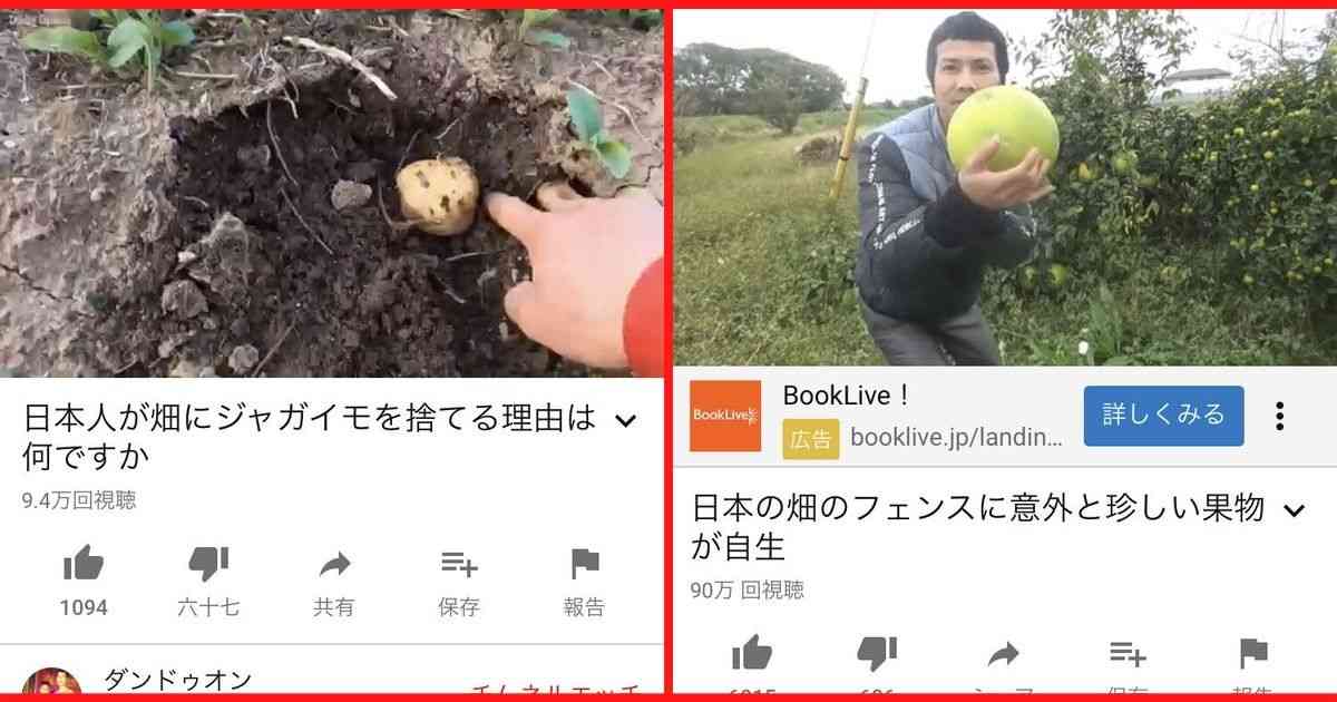 ベトナム人youtuber「日本人が畑にジャガイモをすてる理由はなんですか？」日本人を馬鹿にしきった動画を次々と投稿する（動画あり）  |  motokenblog