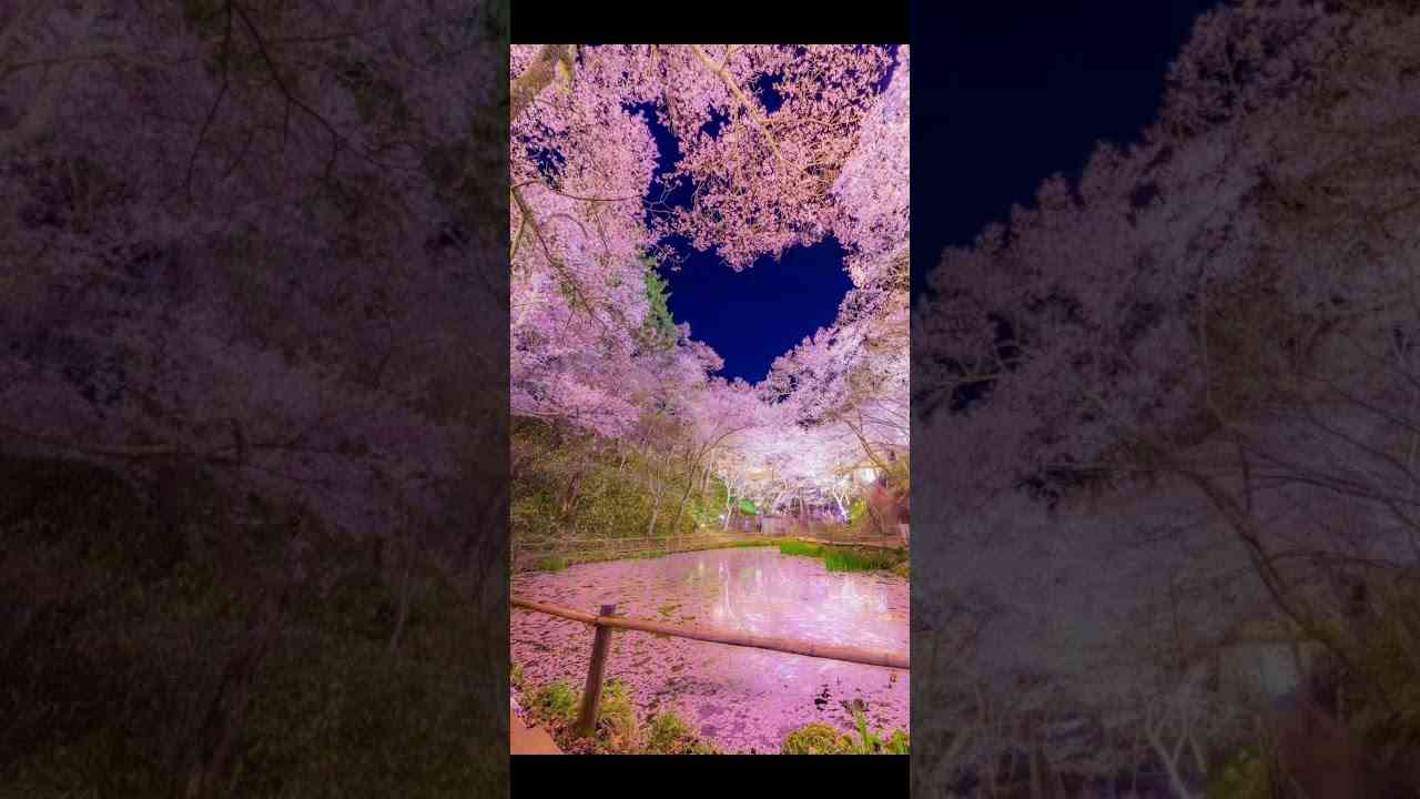 HOWEVER 矢部浩之 - YouTube