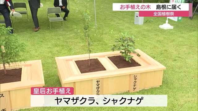 天皇皇后両陛下お手植えの木が島根県に到着（島根・松江）（TSKさんいん中央テレビ） - Yahoo!ニュース