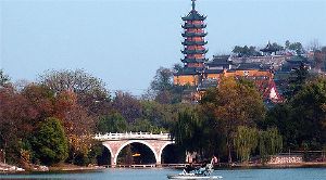 【速報】中国、鳥インフルエンザ（H10N3型）が人に感染　世界初 ｜ 保守速報