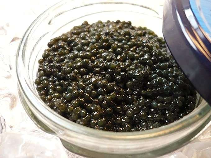 なりたい動物 ランキング 3位は コアラ 2位は ウサギ 1位の動物は ガールズちゃんねる Girls Channel