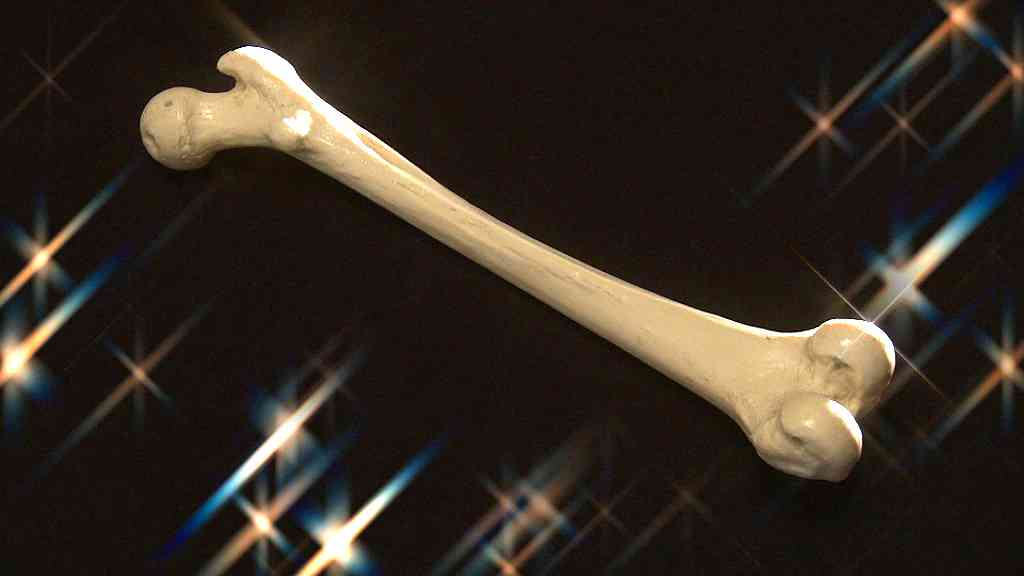 脳を活性化！血糖値ダウン！新発見「骨ホルモン」ＳＰ - NHK ガッテン！