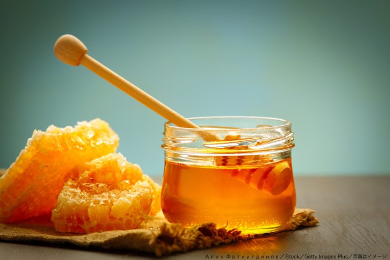 父親が息子を木に縛りつけ体罰　体に蜂蜜を塗りつけ「ハチに刺されろ」