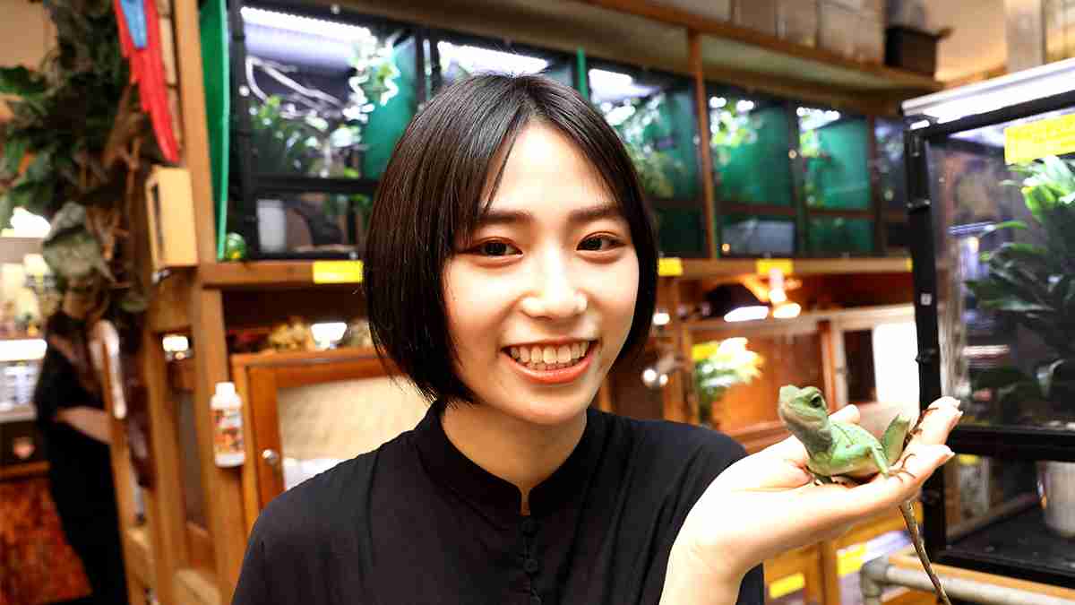 アンジュルム橋迫鈴が爬虫類に癒される！「いつかコモドドラゴンを触ってみたい」 | GetNavi web ゲットナビ
