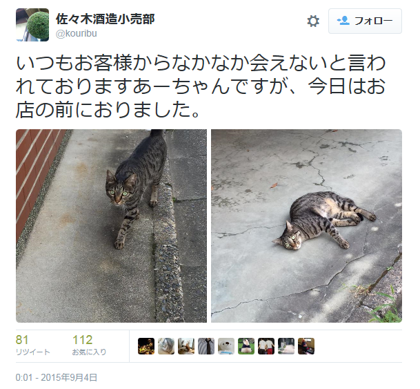 佐々木蔵之介さんの実家の酒蔵には、3匹の「お偉いにゃん」がいるらしい　若手社員は全員「部下」
