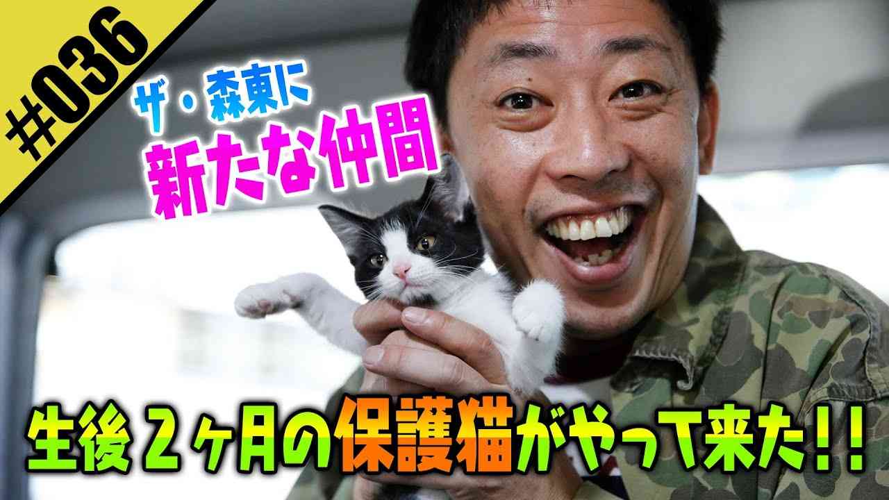 【保護猫を飼う】新たな仲間に森田デレデレ！！ - YouTube