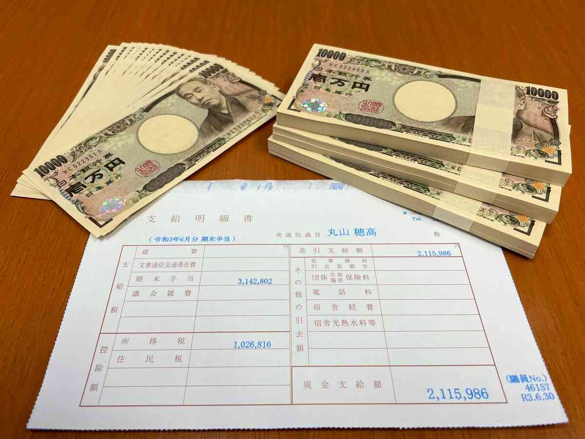 丸山穂高議員、ボーナス支給日で恒例の明細披露「マジで税金アジャパー天国すぎ」