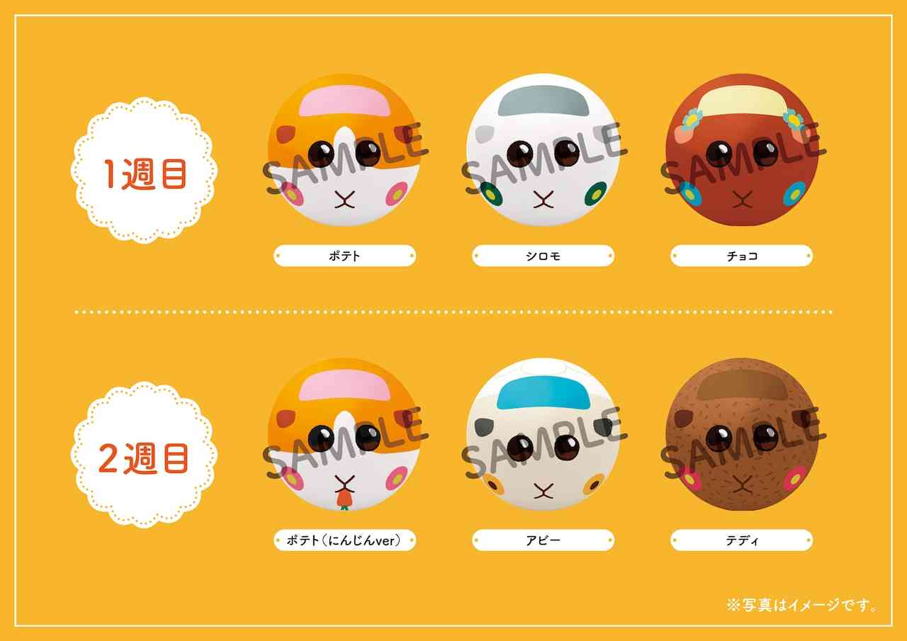 癒しのモフモフ！「PUI PUI モルカー」劇場版の予告編が公開