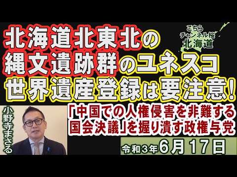 【ch桜北海道】北海道北東北の縄文遺跡群のユネスコ世界遺産登録は要注意！[R3/6/17] - YouTube