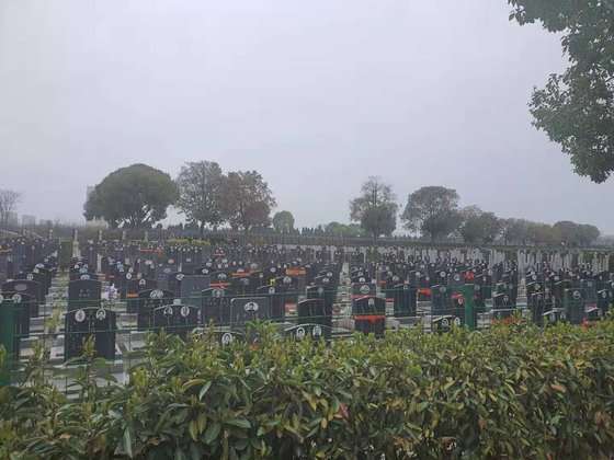 素手でコウモリを触っていて噛まれ…削除された中国武漢研究所の映像が公開（中央日報日本語版） - Yahoo!ニュース