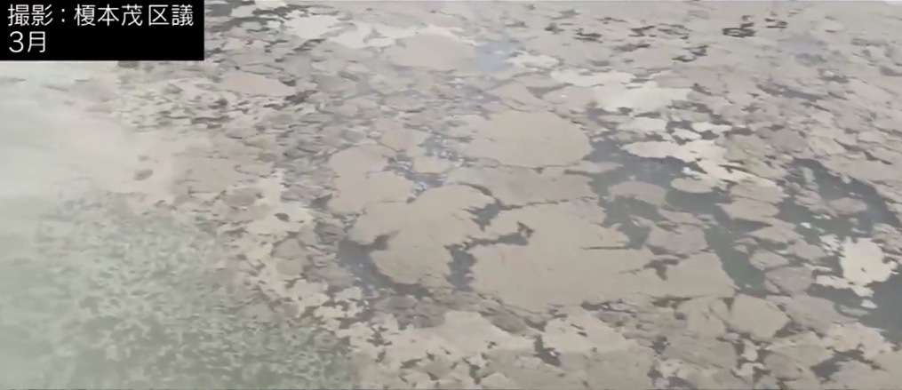 “磯の香りとは異なる臭い”、そしてコロナ検出も…下水も流れ込むお台場の競技会場、水質問題は改善されぬまま? 【ABEMA TIMES】