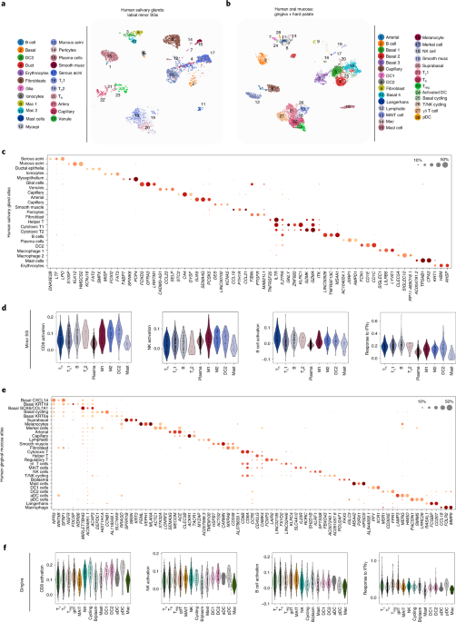 SARS-CoV-2 infection of the oral cavity and saliva | Nature Medicine