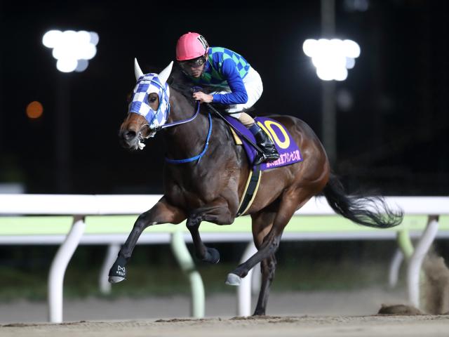 【川崎・関東オークス枠順確定】ケラススヴィアは6枠7番、ウェルドーンは5枠6番（netkeiba.com） - Yahoo!ニュース