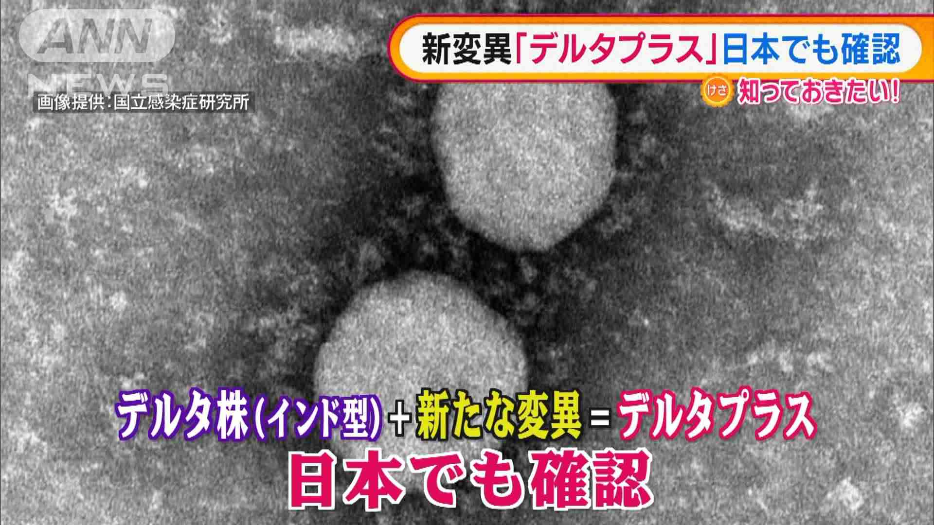 インド型の新変異“デルタプラス”日本でも6件報告｜テレ朝news-テレビ朝日のニュースサイト