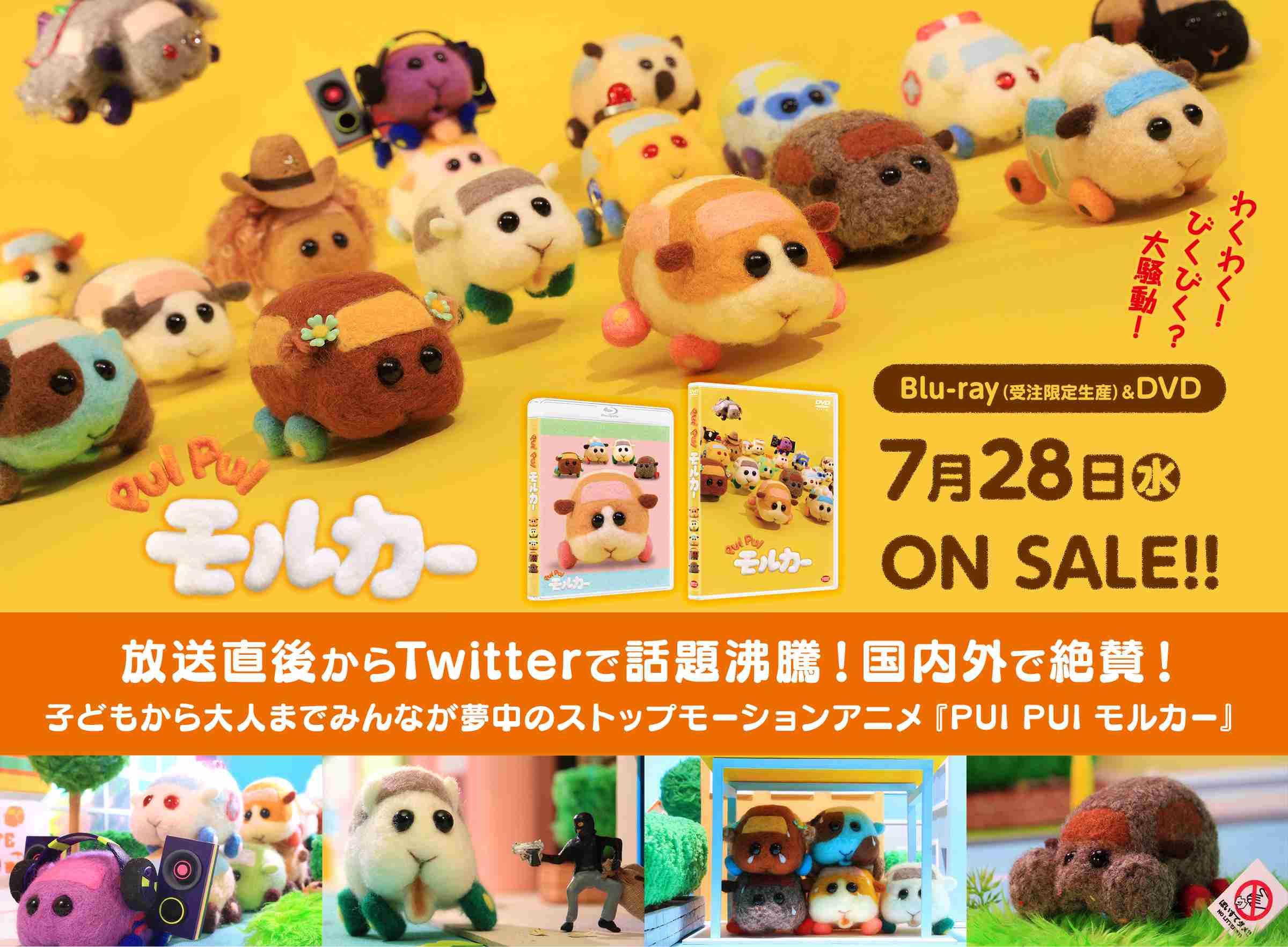 PUI PUI モルカー Blu-ray（特装限定版）& DVD　7月28日（水）ON SALE!!