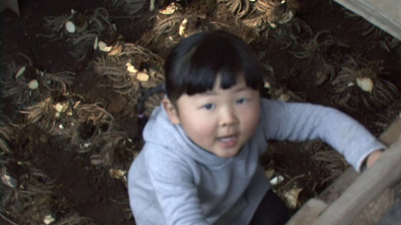 映画「タネは誰のもの」予告編（監督：原村政樹 ） - YouTube