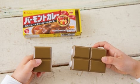 「これが“木”だと!?」木製『バーモントカレー』が驚きの仕上がり、親子で楽しめる本物そっくりなおもちゃ