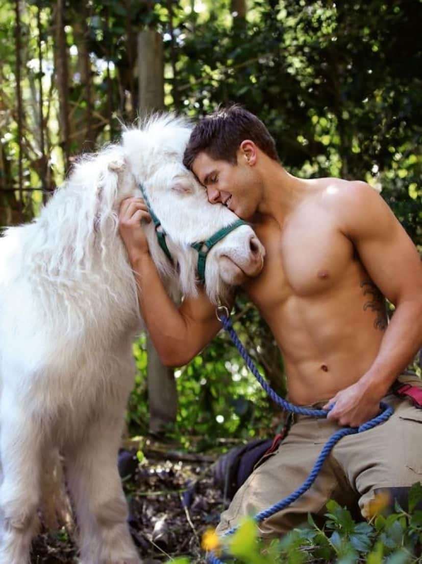 イケメンに見える動物の画像を貼るトピ
