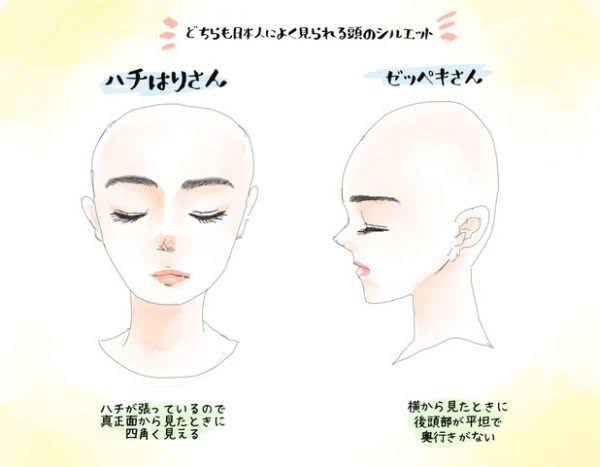 ハチが張っている人のヘアスタイル