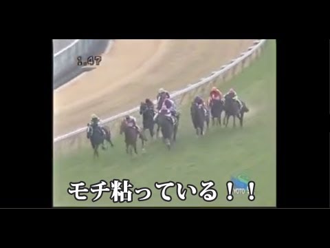 競馬おもしろ動画セレクション - YouTube