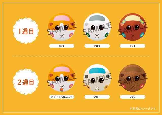 癒しのモフモフ！「PUI PUI モルカー」劇場版の予告編が公開