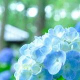 こんにちは?みなさん最近見た夢で印象に残っているのもはありますか？? | ガールズちゃんねる - Girls Channel -