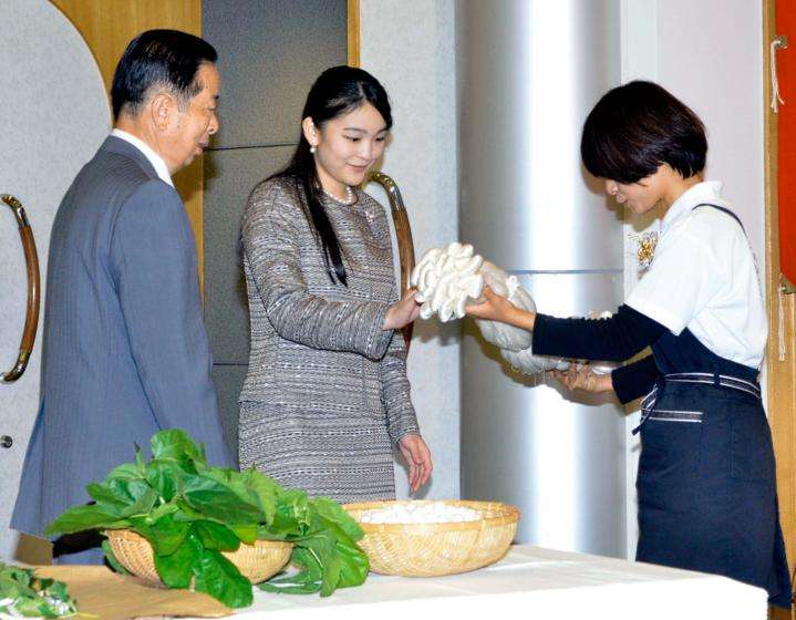 伊予生糸や養蚕を視察　眞子さま｜｜愛媛新聞ONLINE