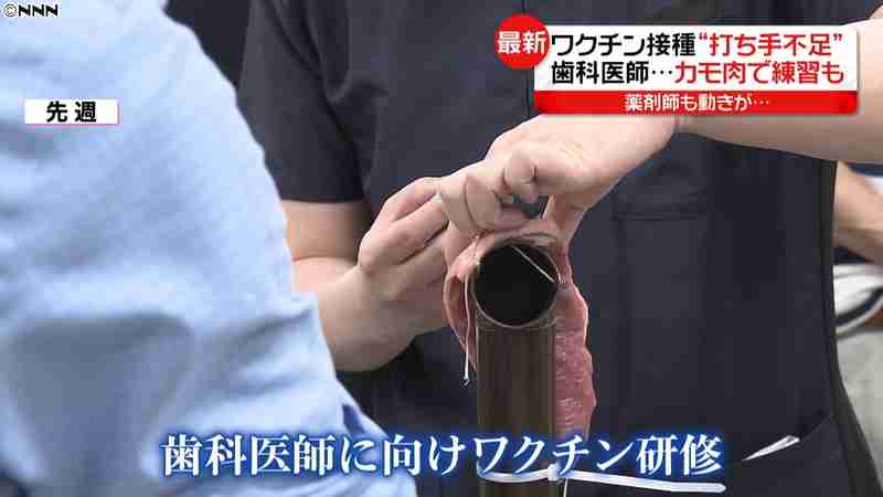 ワクチン接種“打ち手”不足で歯科医師も…｜日テレNEWS24