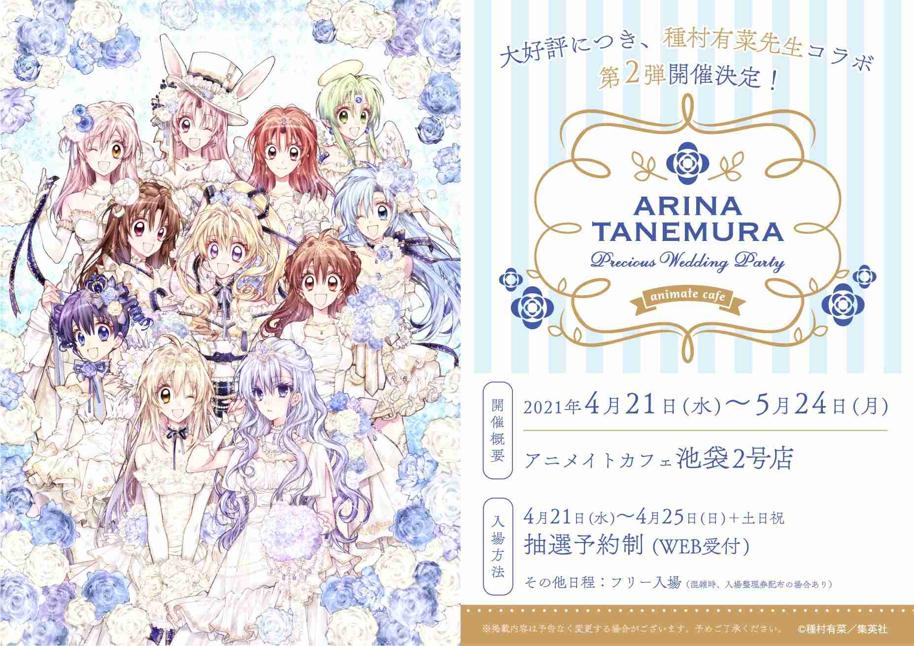 【アンチお断り】種村有菜の漫画を語ろう！