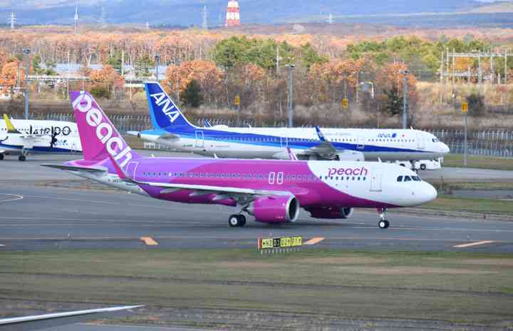   ANA、ピーチ便とコードシェア　国内5路線、8月から