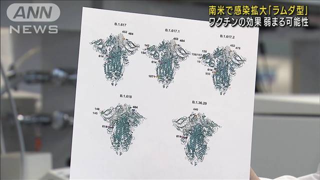 「ラムダ型」これまでない変異　ワクチン効果低減か｜テレ朝news-テレビ朝日のニュースサイト