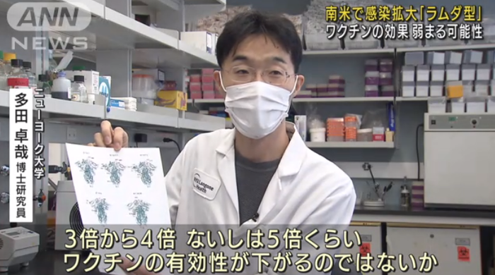 【悲報】南米で感染拡大中のコロナの新変異株『ラムダ型』ワクチンの有効性が下がる可能性…東京オリンピックで隔離免除の選手達が直輸入する模様:ハムスター速報