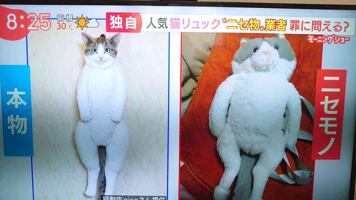 U字工事 益子 詐欺にあった 猫型リュック購入するも 調べてみると すげえニュースになってて ガールズちゃんねる Girls Channel