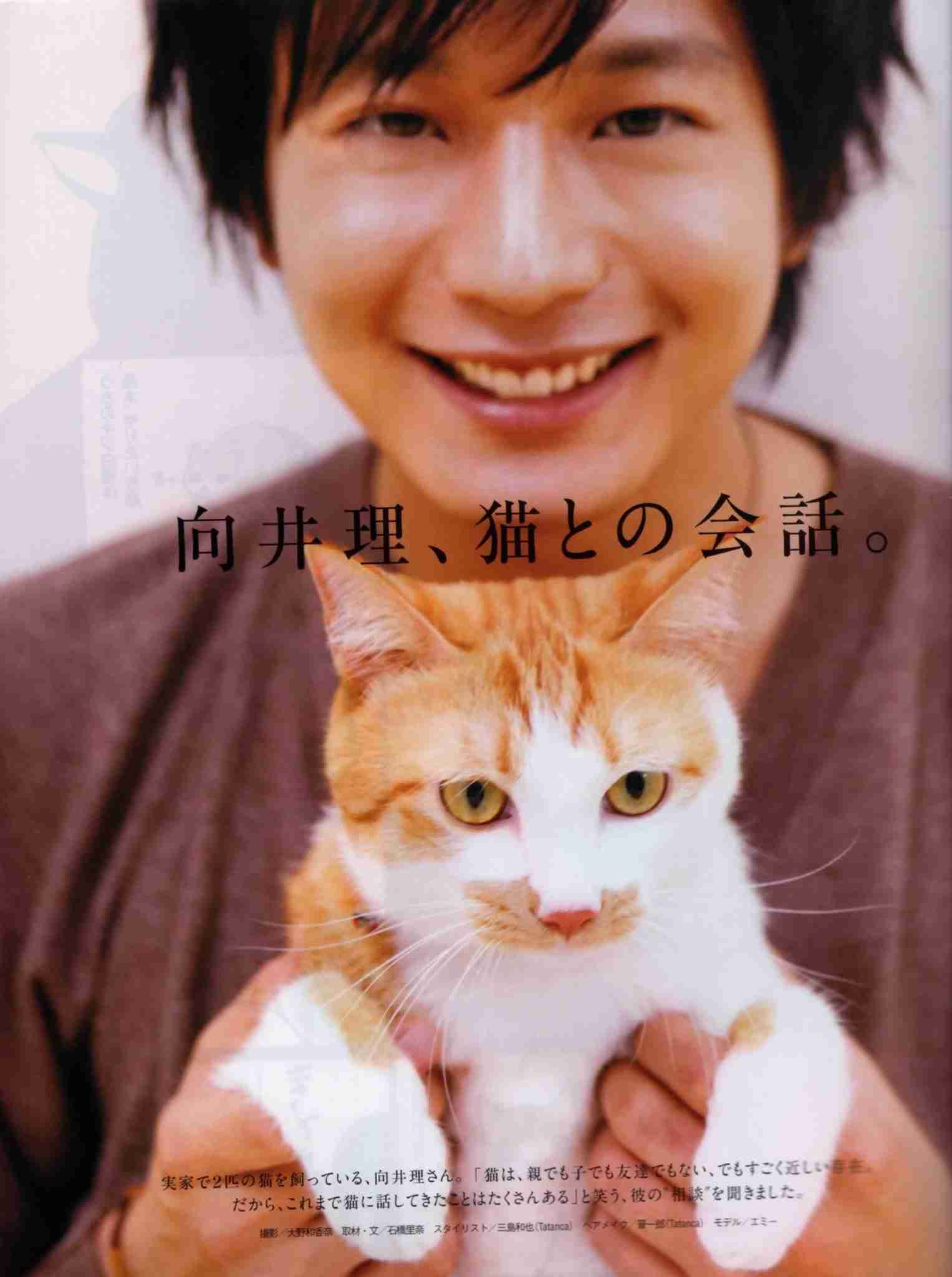猫好き男性有名人！